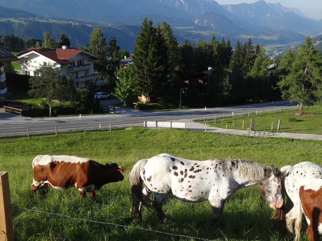 Haus Alpina Ski In & Ski Out Schladming Dış mekan fotoğraf