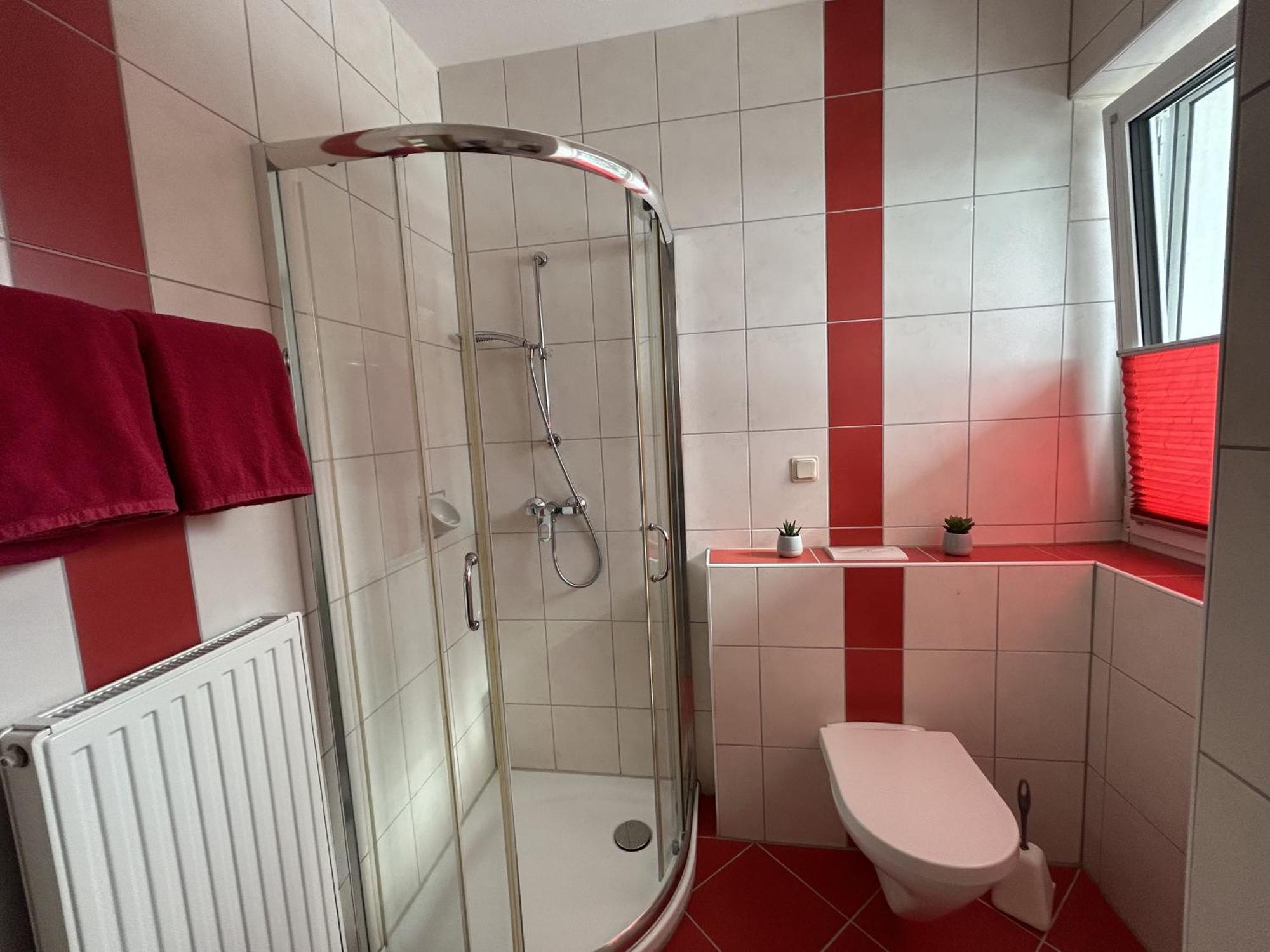 Haus Alpina Ski In & Ski Out Schladming Dış mekan fotoğraf