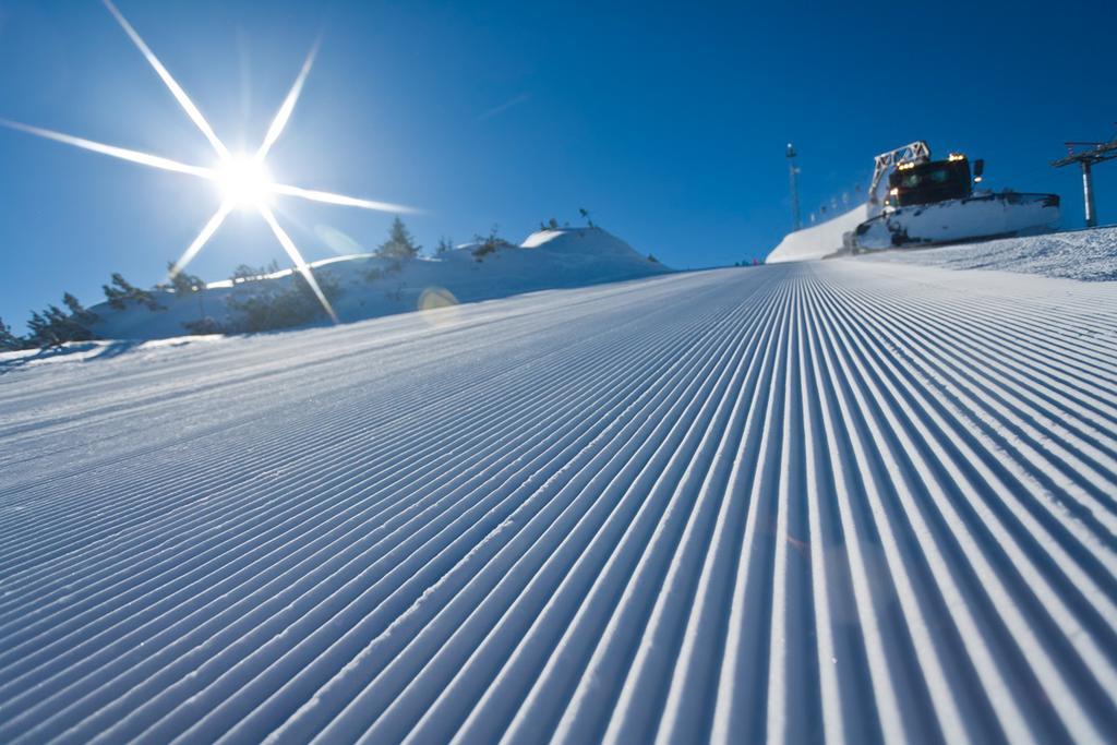 Haus Alpina Ski In & Ski Out Schladming Dış mekan fotoğraf