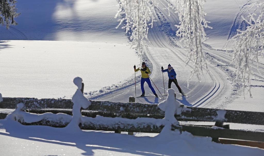 Haus Alpina Ski In & Ski Out Schladming Dış mekan fotoğraf