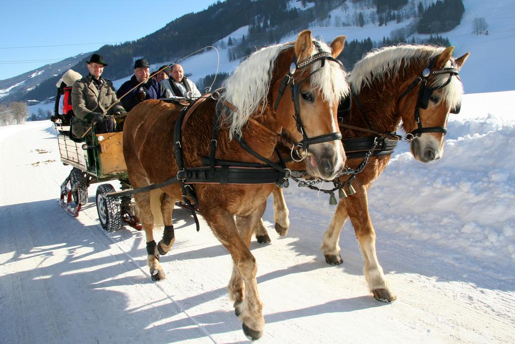 Haus Alpina Ski In & Ski Out Schladming Dış mekan fotoğraf