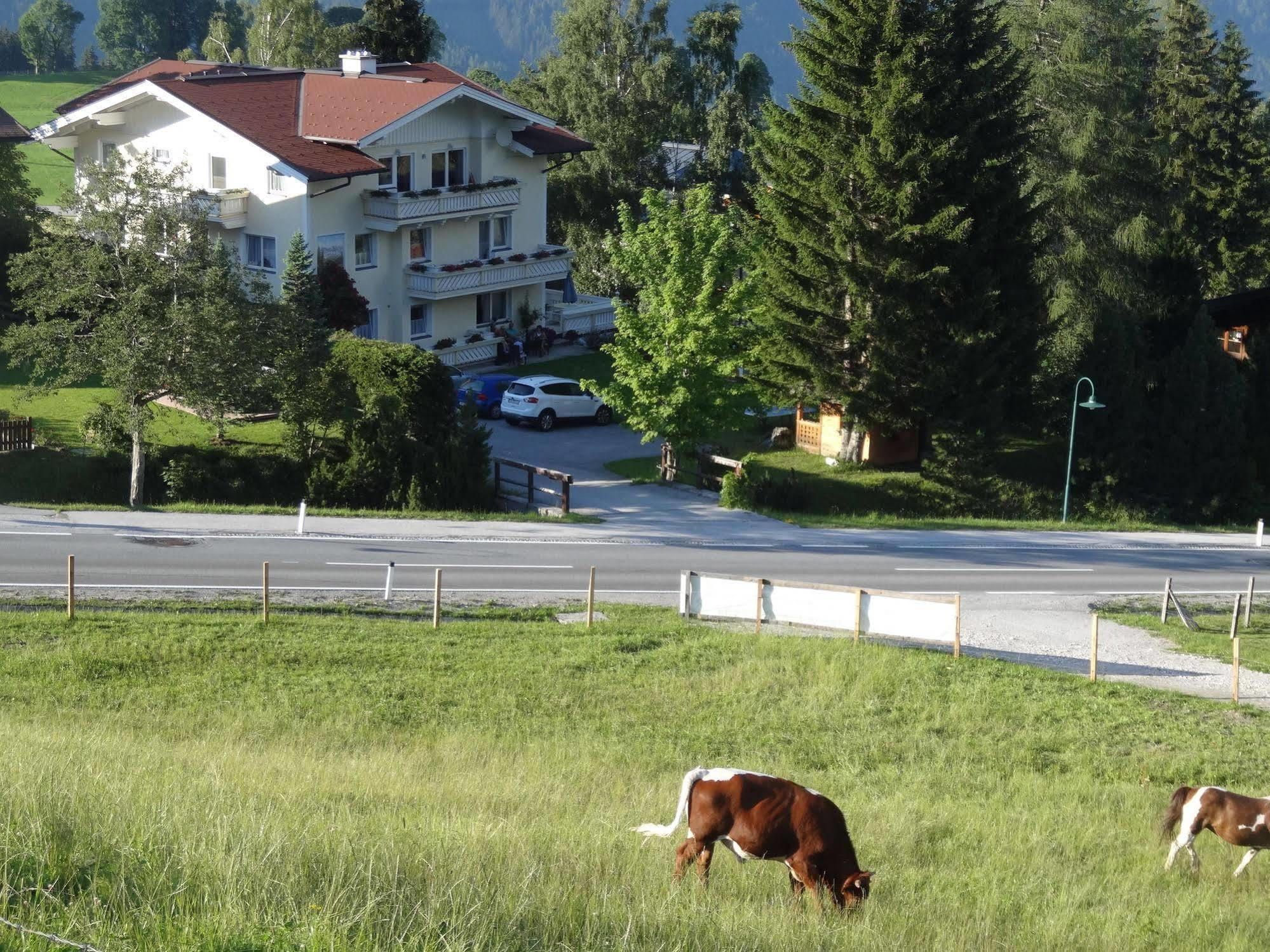 Haus Alpina Ski In & Ski Out Schladming Dış mekan fotoğraf